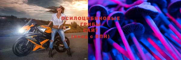 ALPHA PVP Пестово