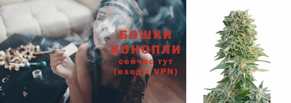 гидропоника Осинники