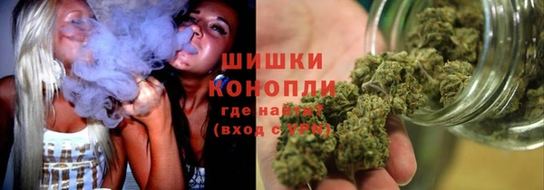 гидропоника Осинники
